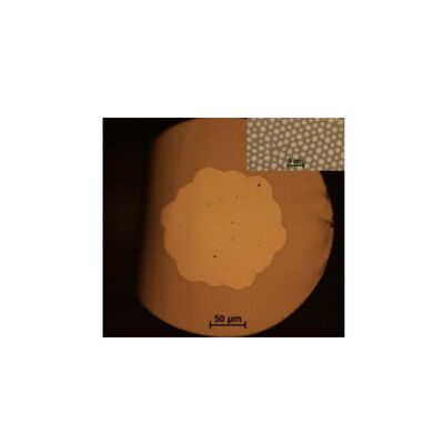 190～1250nm (UV) 300～2400nm (IR) Bildgebende Faser Faser Multicore: 3000～100000 Numerische Apertur (NA): >0.5